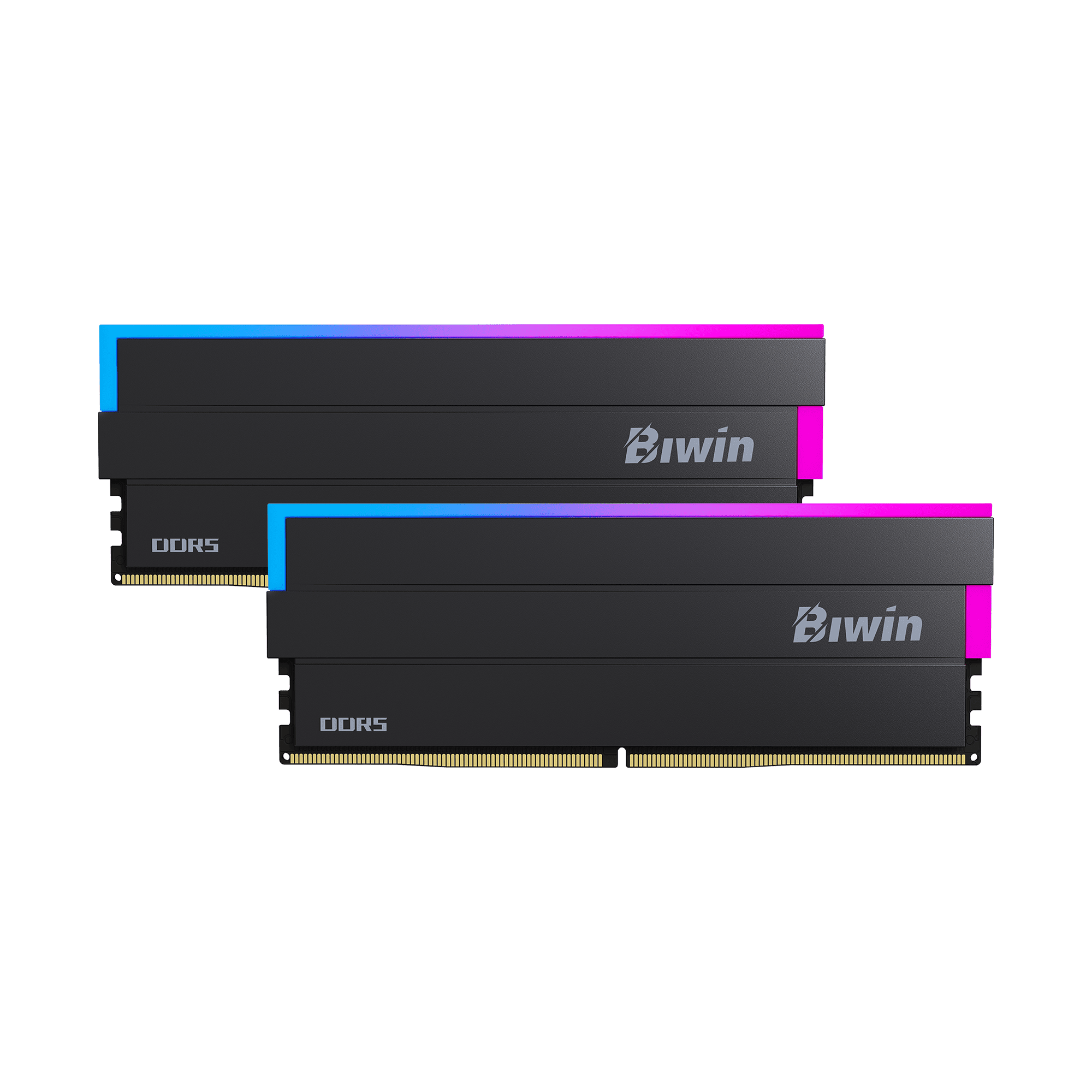 Biwin Black Opal DW100 DDR5 RGB RAM 32GB (16GBx2) 6000MHz CL36 Computer Memory Intel XMP 3.0 AMD EXPO Compatible-Black