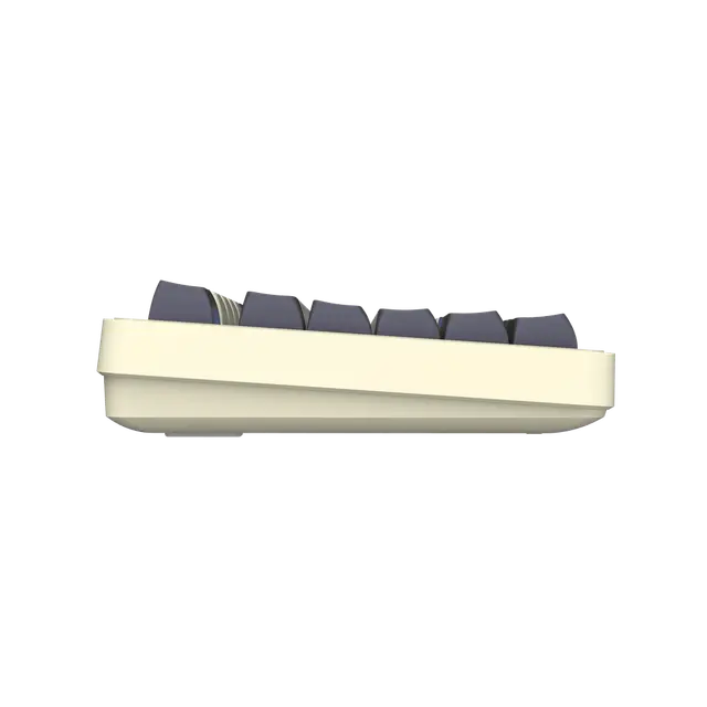 Darkflash DF98 RGB Mechanical keyboard – Twilight