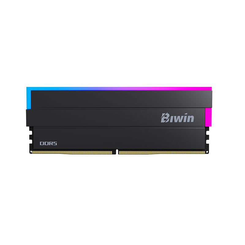 Biwin Black Opal DW100 DDR5 RGB RAM 32GB (16GBx2) 6000MHz CL36 Computer Memory Intel XMP 3.0 AMD EXPO Compatible-Black
